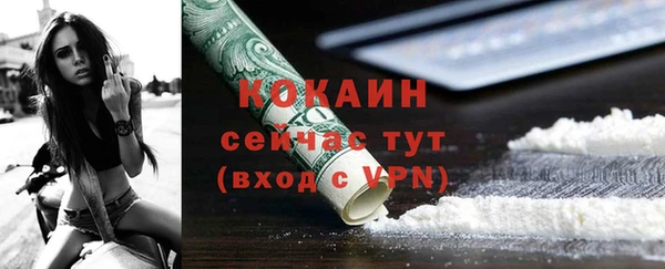 дмт Пестово