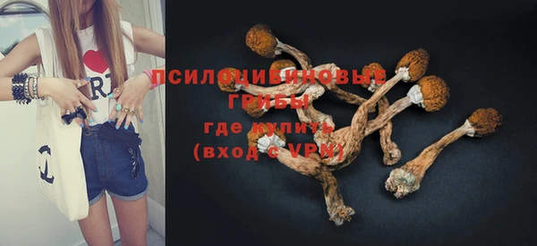 дживик Аркадак