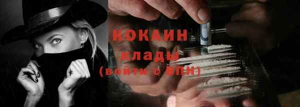 дживик Аркадак